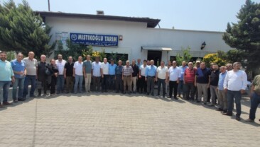 Yarseli Barajı Tepkisi