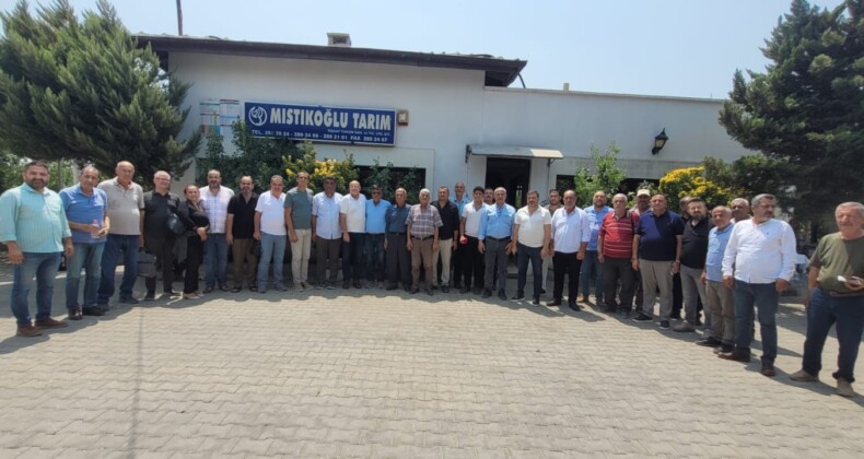 Yarseli Barajı Tepkisi
