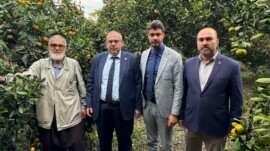 Çalışkan’dan Hatay’da Narenciye Alarmı: