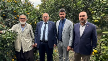 Çalışkan’dan Hatay’da Narenciye Alarmı: