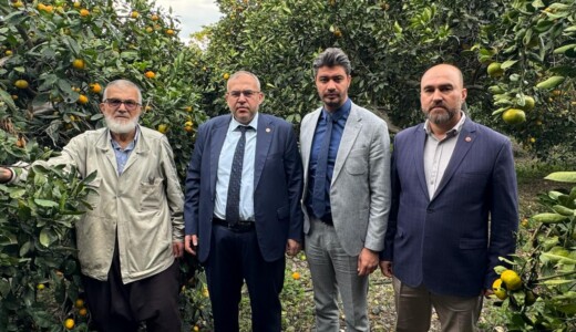 Çalışkan’dan Hatay’da Narenciye Alarmı: