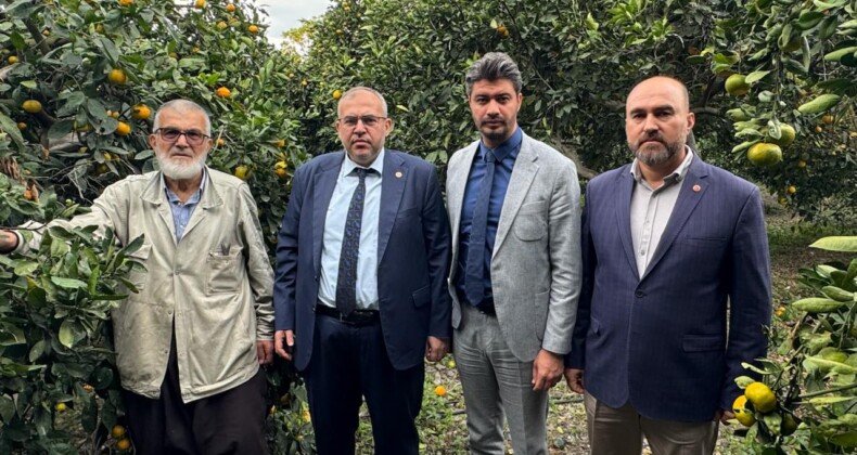 Çalışkan’dan Hatay’da Narenciye Alarmı: