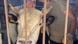 Antakya’da Genç Girişimcilerin Başarı Hikayesi: