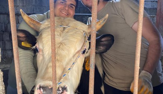 Antakya’da Genç Girişimcilerin Başarı Hikayesi: