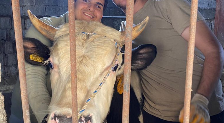 Antakya’da Genç Girişimcilerin Başarı Hikayesi: