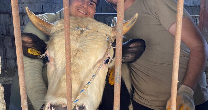 Antakya’da Genç Girişimcilerin Başarı Hikayesi: