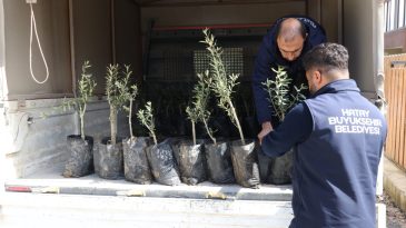 MİNİKLER, HBB İLE OKULLARINI AĞAÇLANDIRIYOR