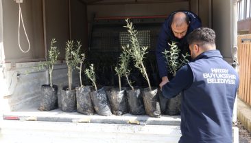 MİNİKLER, HBB İLE OKULLARINI AĞAÇLANDIRIYOR