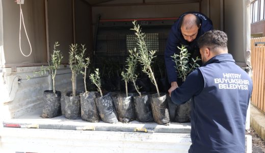 MİNİKLER, HBB İLE OKULLARINI AĞAÇLANDIRIYOR