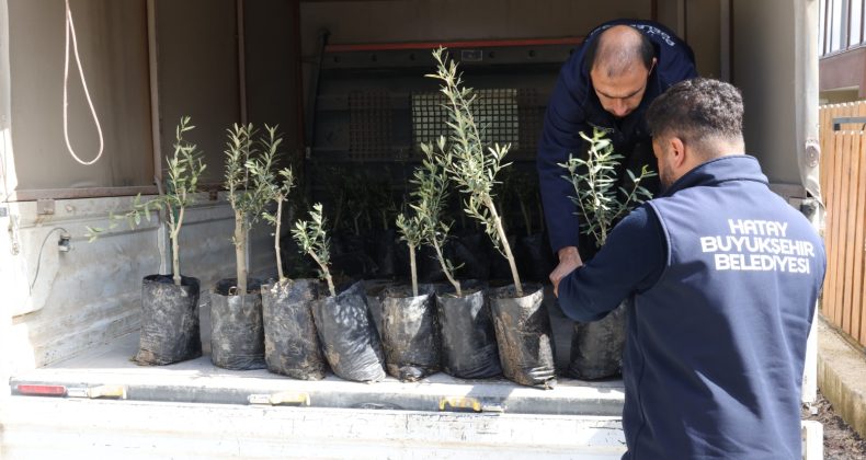 MİNİKLER, HBB İLE OKULLARINI AĞAÇLANDIRIYOR