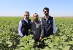 HBB, ÜRETİCİYE AYÇİÇEĞİ TOHUMU DESTEĞİ SAĞLADI