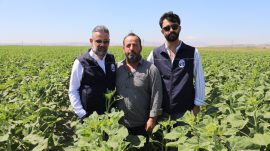 HBB, ÜRETİCİYE AYÇİÇEĞİ TOHUMU DESTEĞİ SAĞLADI