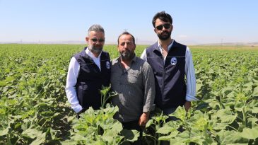HBB, ÜRETİCİYE AYÇİÇEĞİ TOHUMU DESTEĞİ SAĞLADI