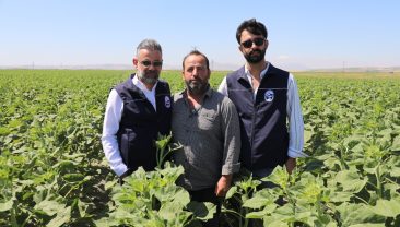 HBB, ÜRETİCİYE AYÇİÇEĞİ TOHUMU DESTEĞİ SAĞLADI