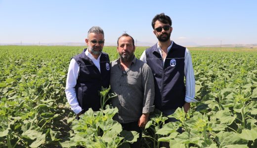 HBB, ÜRETİCİYE AYÇİÇEĞİ TOHUMU DESTEĞİ SAĞLADI