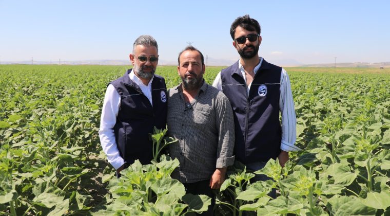 HBB, ÜRETİCİYE AYÇİÇEĞİ TOHUMU DESTEĞİ SAĞLADI