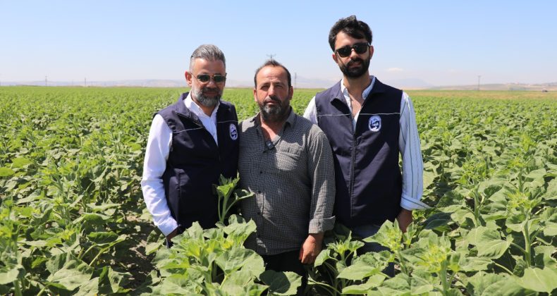HBB, ÜRETİCİYE AYÇİÇEĞİ TOHUMU DESTEĞİ SAĞLADI