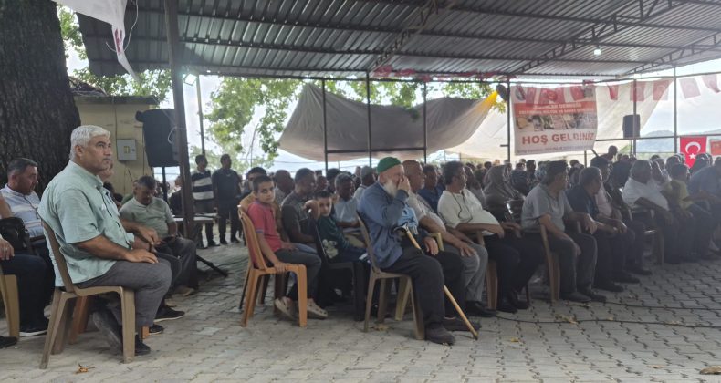 Yayladağı Olgunlar Mahallesi’nde Kültür ve Sanat Coşkusu: