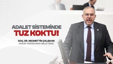 CEZASIZLIK ALGISI VE LİYAKATSİZLİK ŞİDDETİ TIRMANDIRIYOR”