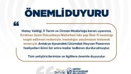 ÜZÜMDALI HAYVAN PAZARINA ŞAP TEDBİRİ