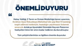 ÜZÜMDALI HAYVAN PAZARINA ŞAP TEDBİRİ