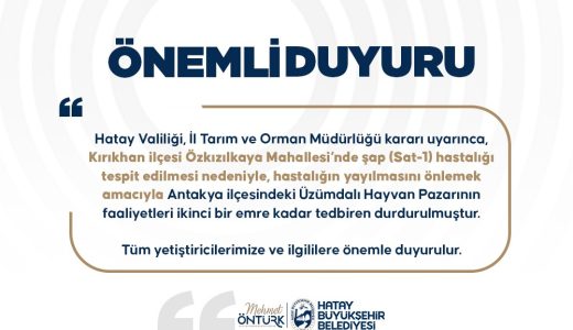 ÜZÜMDALI HAYVAN PAZARINA ŞAP TEDBİRİ